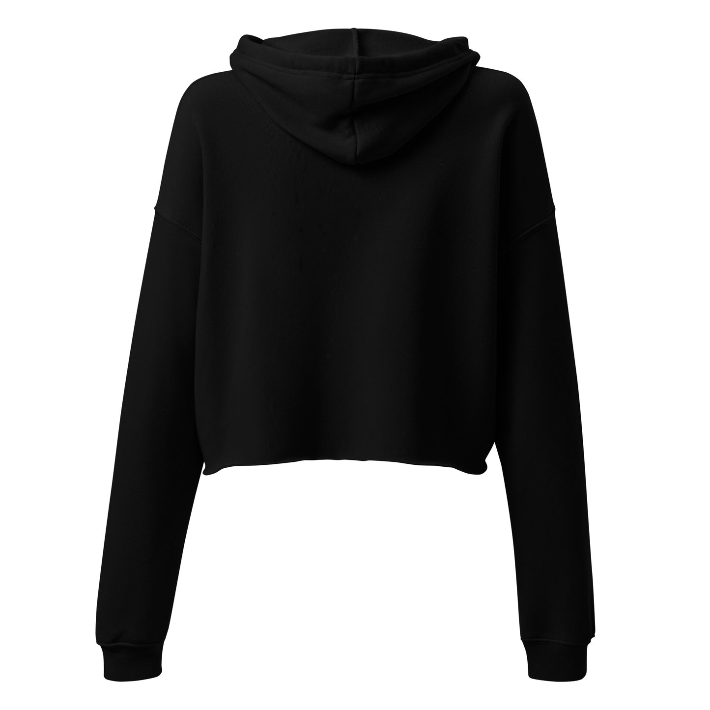 AC Cropped Hoodie